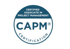 CAPM Certification Training